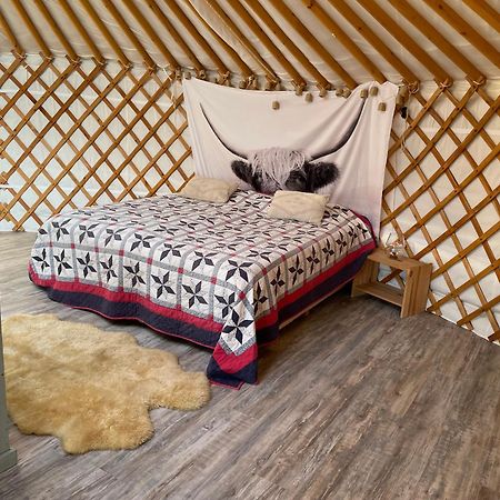 מלון קאודקרקה Luxe Yurt מראה חיצוני תמונה